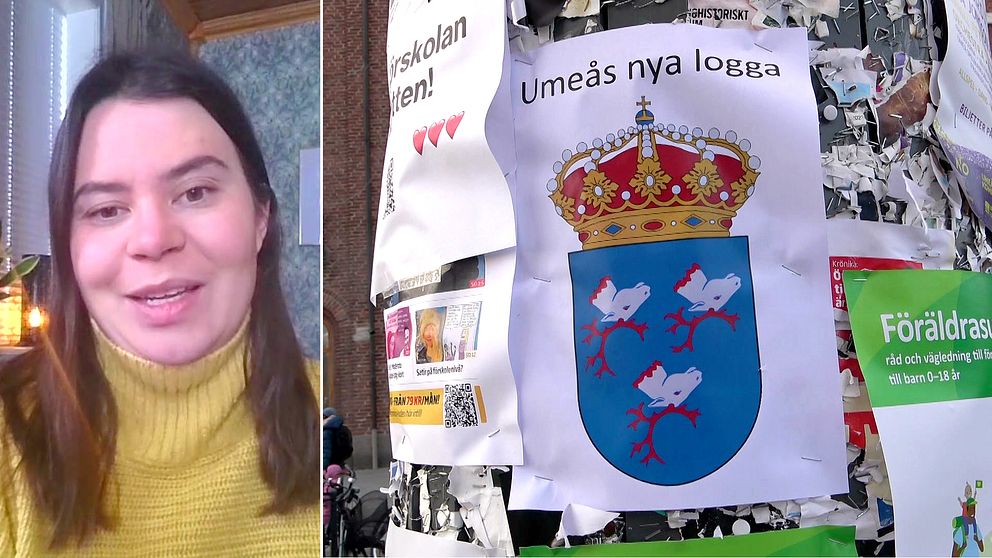 Konstnären Káren-Ann Hurri och det nya stadsvapnet