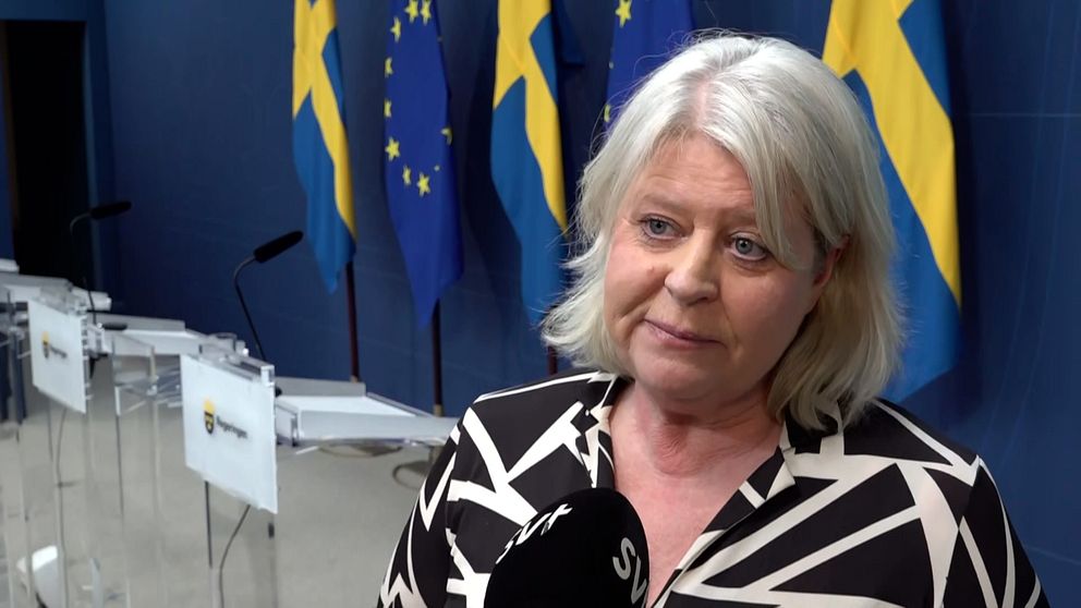 Camilla Waltersson Grönvall (M) socialtjänstminister
