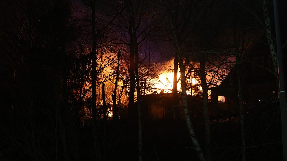 En eldsvåda lyser upp natthimlen bakom silhuetter av träd.