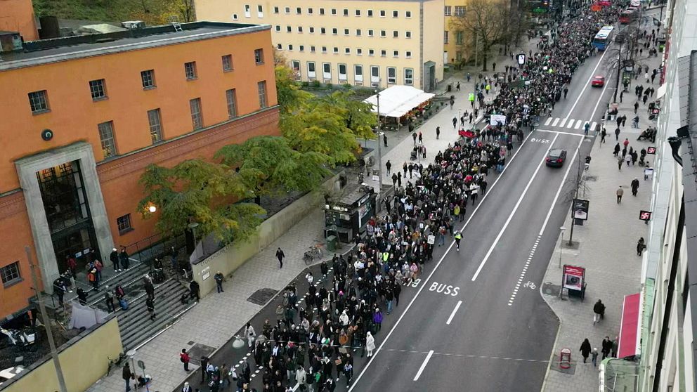 Pro-Palestiniandemonstrationen startade vid Odenplan och avslutades framför Riksdagen.