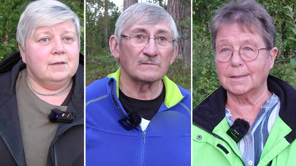 Porträttbilder på Carlotta Dahlberg, Alf Viklund och Annica Lundgren.