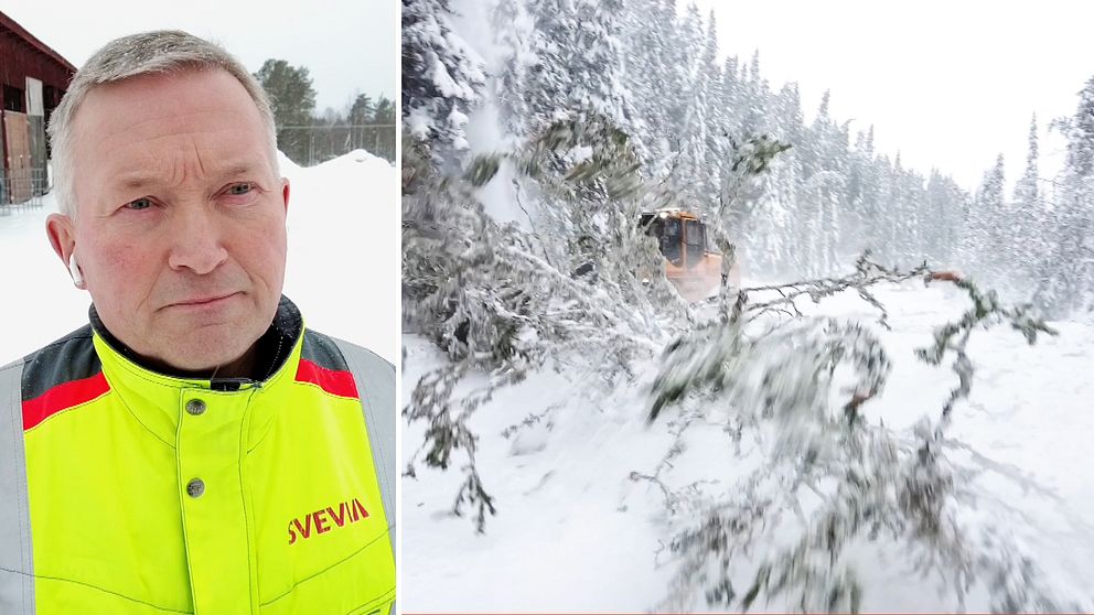 Nisse Byström – en man i Svevia-jacka – samt gran som faller över snöig väg, fordon som röjer