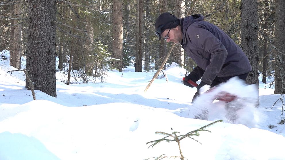 Forskare gräver i snö