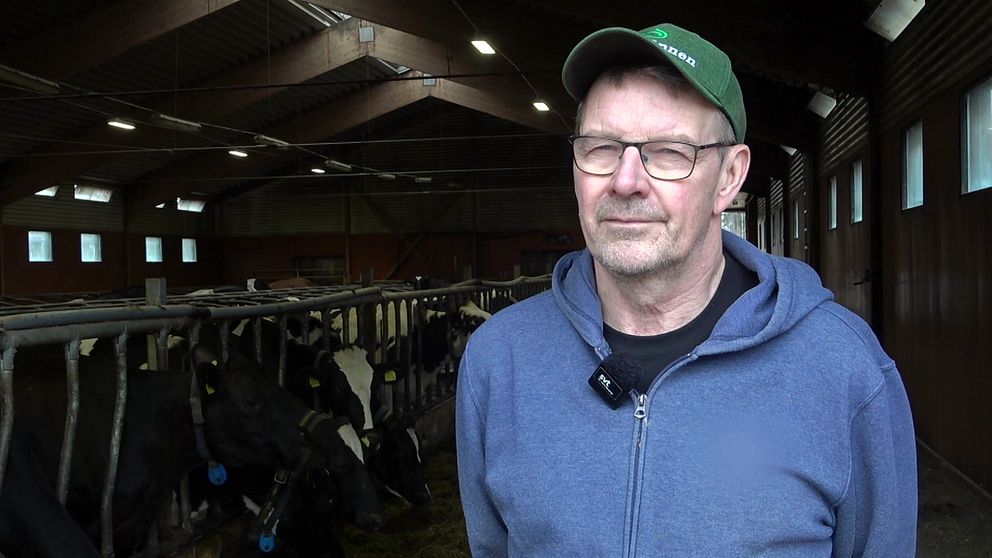 Mjölkbonden Lars Eriksson i Hundsjö utanför Boden.