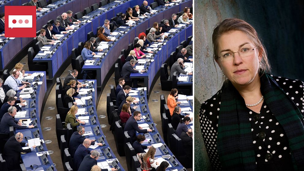EU-parlamentet till vänster och forskaren Camilla Nothhaft till höger