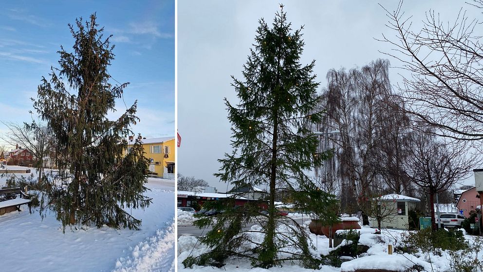 Julgran i Löttorp