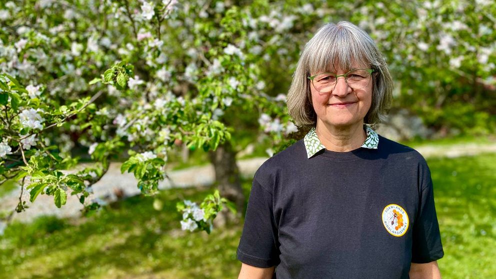 En bild på en gråhårig kvinna, Hanne Uddling, som står ute i naturen.