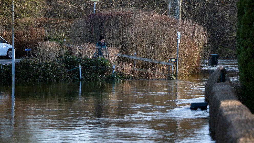 Översvämmat koloniområde i Kävlinge