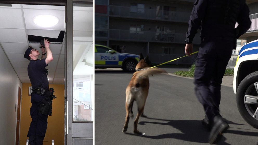 Polisen letar droger med hjälp av hundar