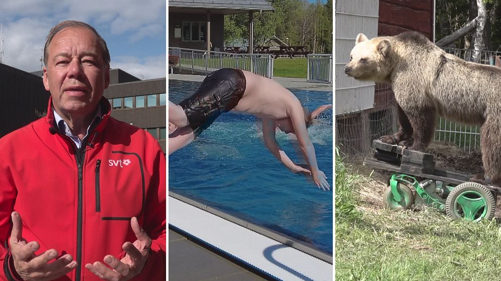 Reporter Anders Hansson, en kille som dyker ner i en pool och en permobjörn på en mässa.