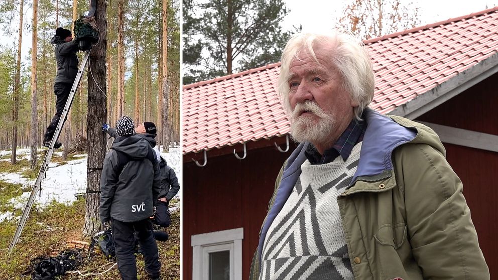 Montagebild på tv-team som monterar upp kameror i träden, och en bild på en man, Kjell Mähler.
