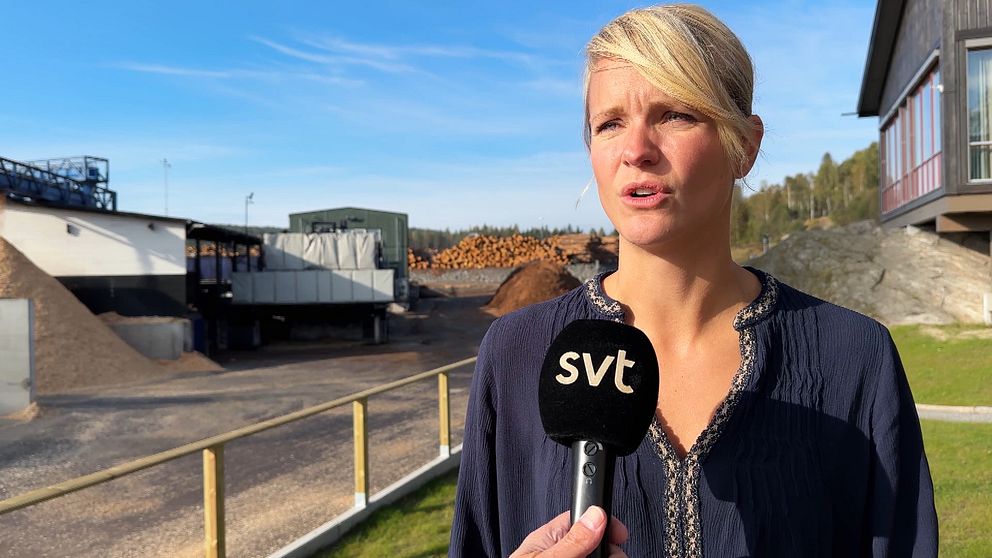 Sågverk | SVT Nyheter