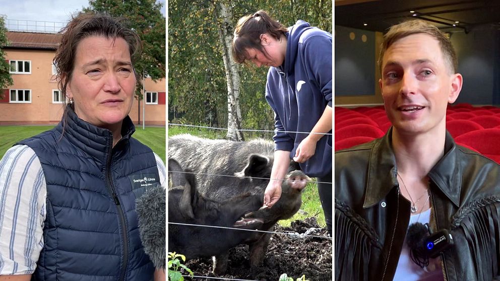 Tre delad bild – till vänster en kvinna med mörkblå väst och uppsatt mörkt hår; i mitten en kvinna med mörkt hår som matar ett par svarta grisar; till höger en kille med kort blont hår och läderjacka med fransar.