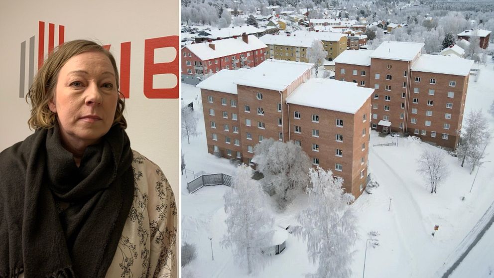 Maria Philipsson, vd för Vibo och några bostadshus i Vilhelmina