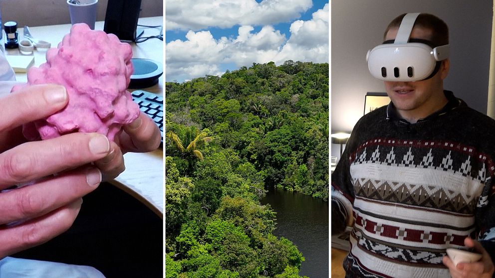 3D-printat enzym, Amazonas, Virtual reality