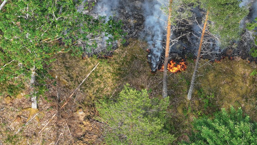 Brand i skogen i Ringarum.