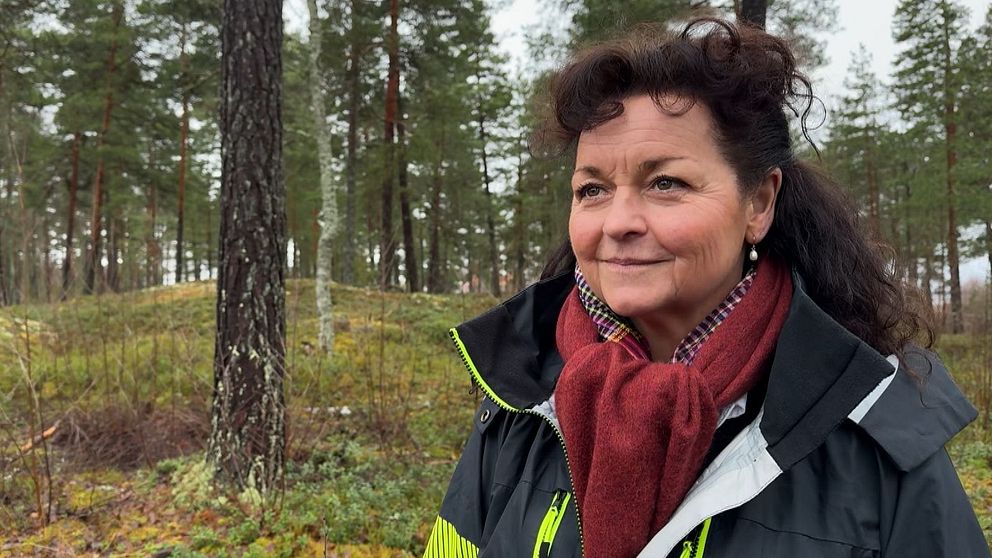 En person klädd i en mörk jacka med logotyp och en röd halsduk står i en skog med barrträd. Skogen är frodig med höstlöv och barr på marken.