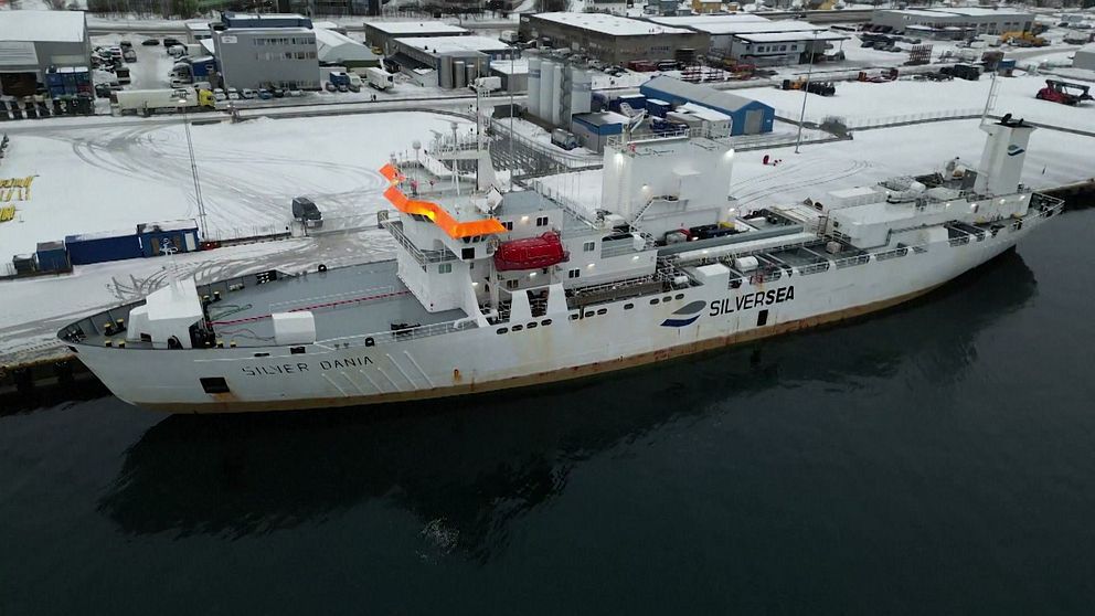 Fartyget ”Silver Dania” från rederiet Silversea ligger förtöjt vid en snöig kaj i en hamn.