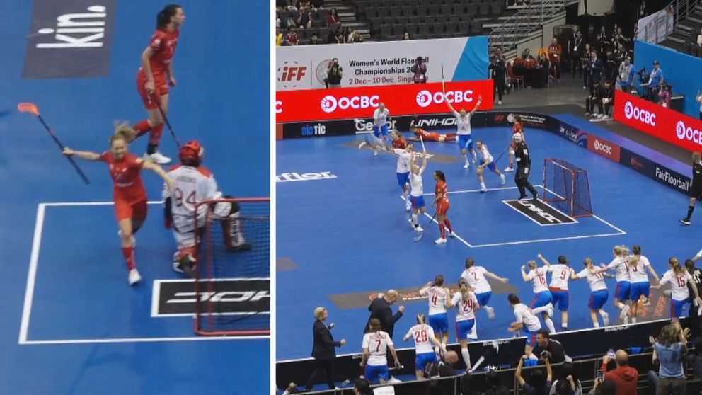 Bronsmatch innebandy