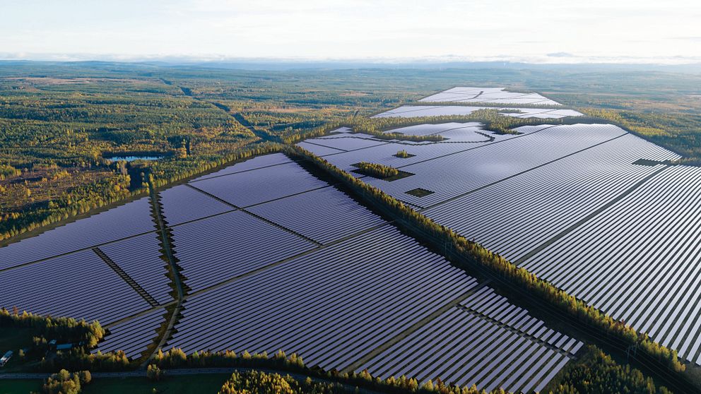 Ett stort fält med solceller mitt i skogen.