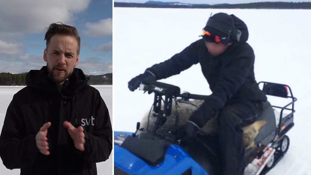 Delad bild med en SVT-reporter till vänster och en bild på en man som sitter på en blå snöskoter och har vad som ser ut att vara en död varg i sitt knä.
