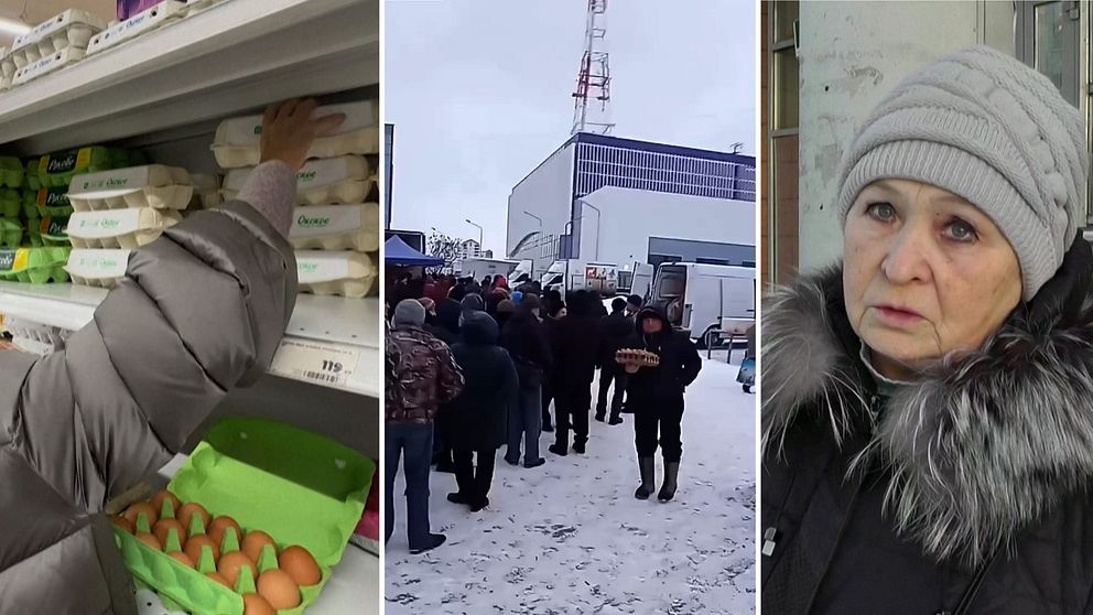 Ägg på hylla, äggköer i Belgorod och en missnöjd rysk kvinna.