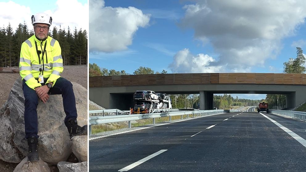 En delad bild som visar två scener. Till vänster sitter en person i en gul reflexjacka på en stor sten i en skogig miljö. Till höger är en nybyggd motorväg som sträcker sig under en träbro, med en transportbil och byggmaskiner synliga. Himmel med några moln syns i bakgrunden.