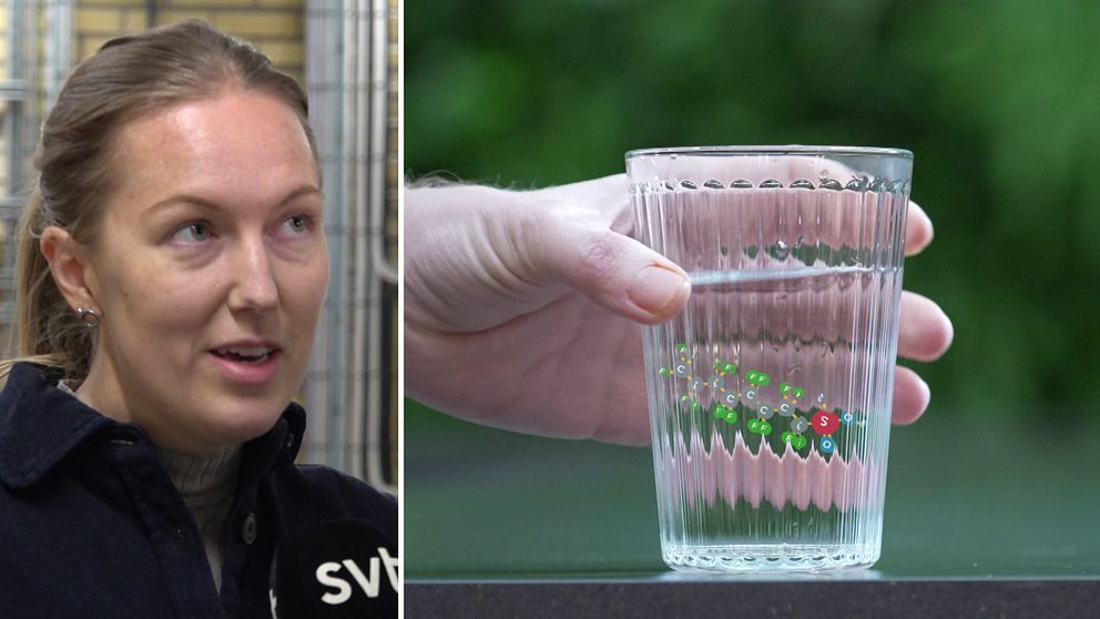 Delad bild. Till vänster syns en kvinna som blir intervjuad. Till höger håller en hand i ett dricksglas med bakterier i vattnet.