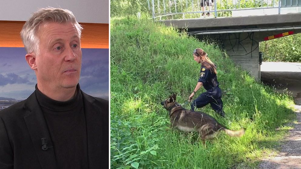 till vänster: Patric Sellén, reporter SVT Västernorrland, till höger: Polis med hund som går upp för en backe i sökande efter spår i utreningen kring mordförsöken i Sidsjö sommaren 2023