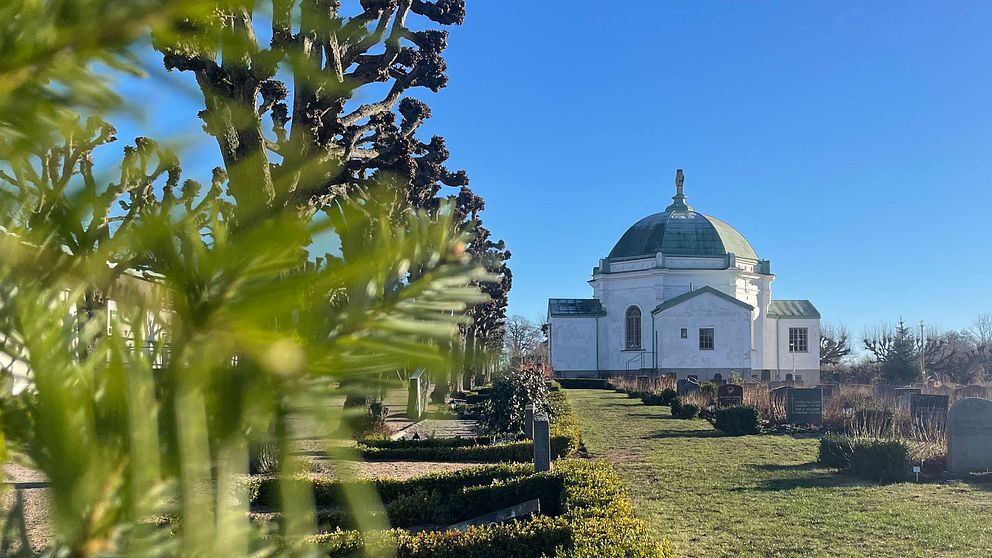 En vit, klassisk byggnad med ett grönt kupoltak står vid sidan av en allé med formellt beskurna träd under en klarblå himmel. Förgrunden är delvis skymd av gröna växter, vilket ger ett djup till scenen. Wämö kyrkogård Karlskrona, Wämo kapell