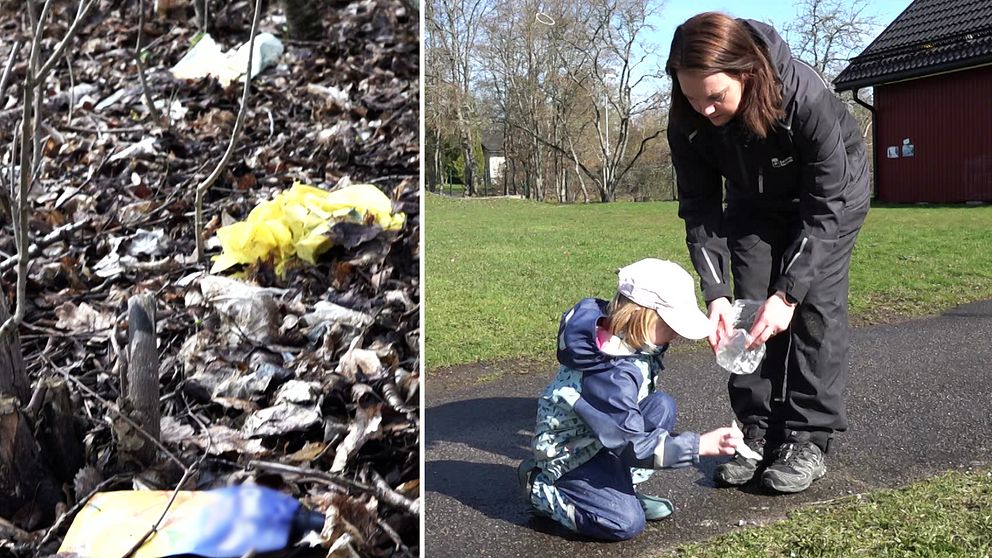 Plastskräp ligger bland löv i en skogsdunge. Ett barn och en kvinna plockar skräp.