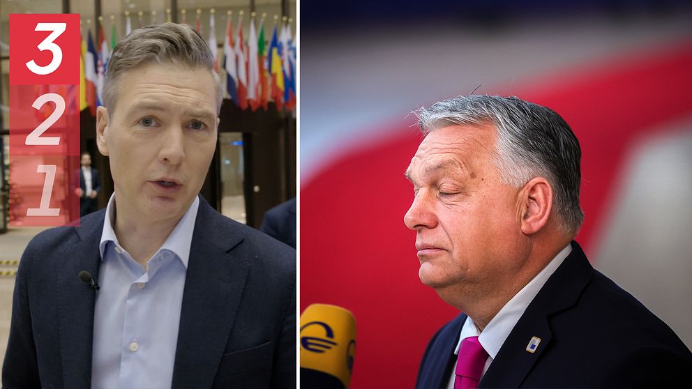 SVT:s EU-reporter och Viktor Orban