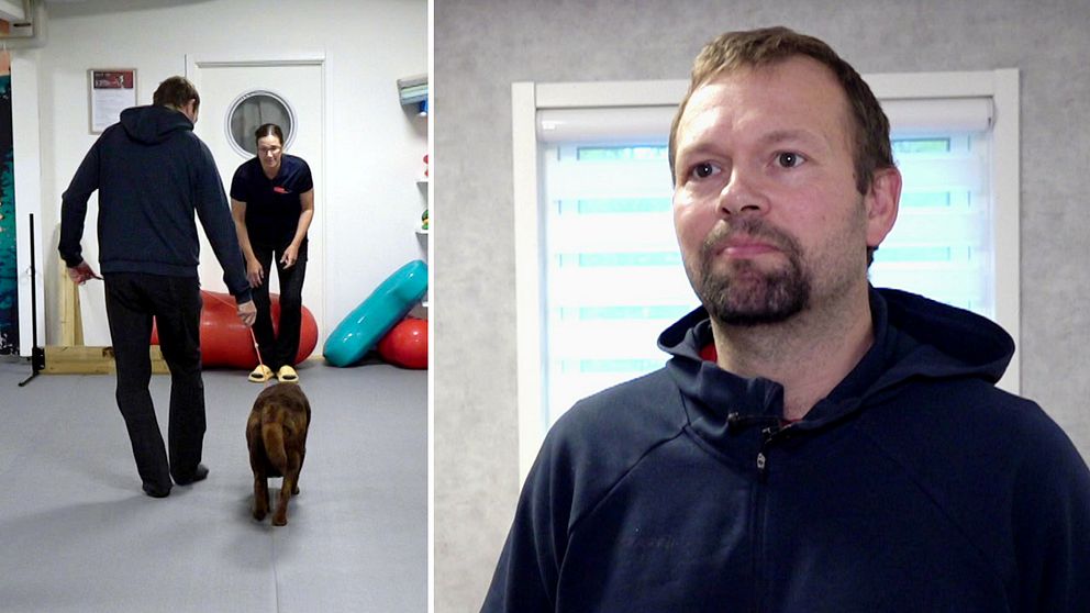 Veterinären Mikael Petersen.