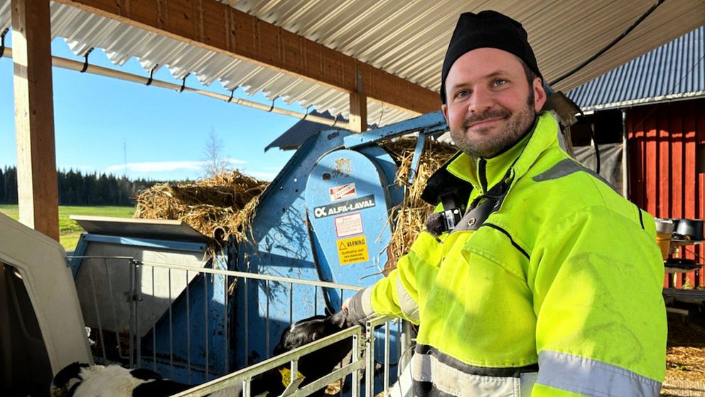 En person i en reflexjacka står framför en foderblandare i en ladugård, omgiven av stängsel och med en bakgrund av skog och en röd byggnad.