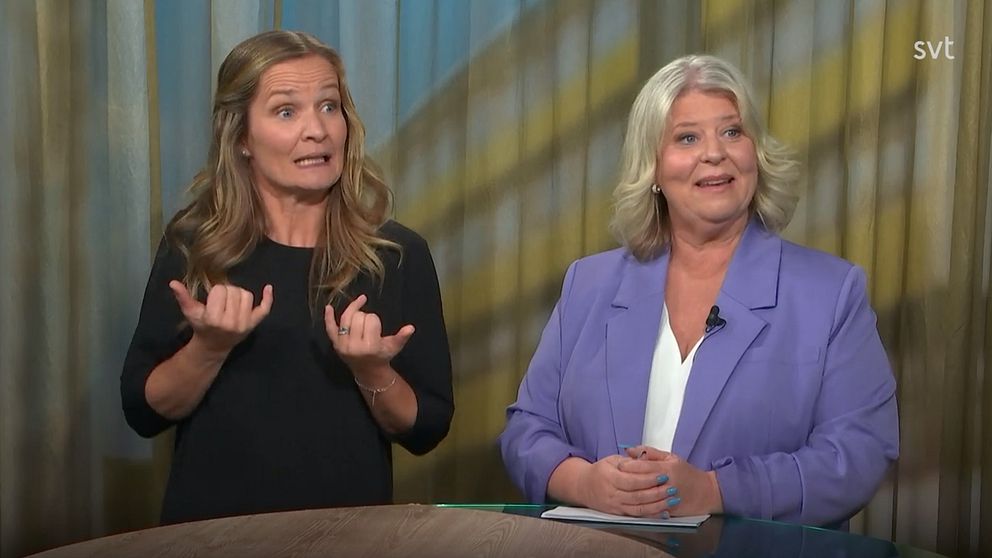 Socialtjänstministern plus en teckenspråkstolk