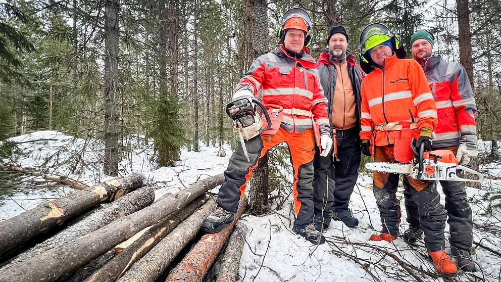Ett glatt arbetslag poserar med motorsågar vid en hög timmer i snöigt skogslandskap.