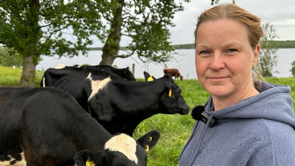 Ida Oderstål står på en gräsmatta med sina kor