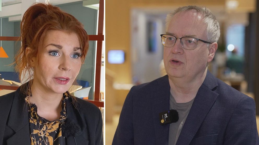 Tudelad bild. Vänster: Person i kontorsmiljö. Höger: Man med mikrofon i intervju. Sverigedemokraten Louise Erixon, statsvetare Erik Wångmar.