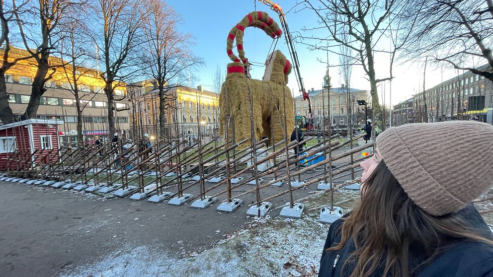 En person tittar upp mot en stor julbock gjord av halm. Bocken är klädd med röda band och håller på att byggas ihop. Träd med bare grenar omger scenen och marken är delvis täckt av snö.