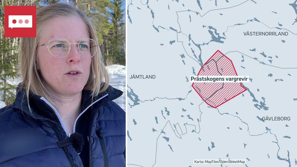 Splitbild. Till vänster Emma Andersson, rovdjurshandläggare länsstyrelsen Jämtland. Till höger kartbild som visar Prästskogens vargrevir.