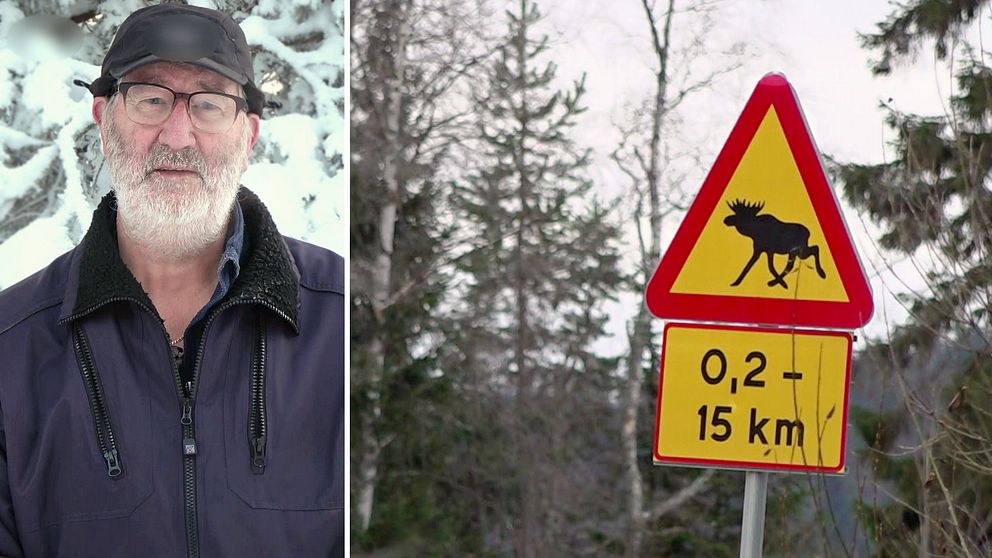 Älgskyltar har blivit stulna i Arjeplog, det väcker ilska hos jaktledaren Roger Renberg.