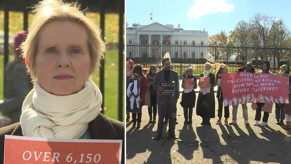 Cynthia Nixon hungerstrejkar