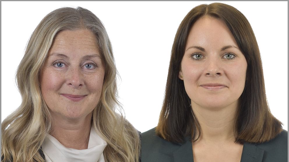 Ann-Li Sjölund (C) Isabell Mixter (V) riksdagen
