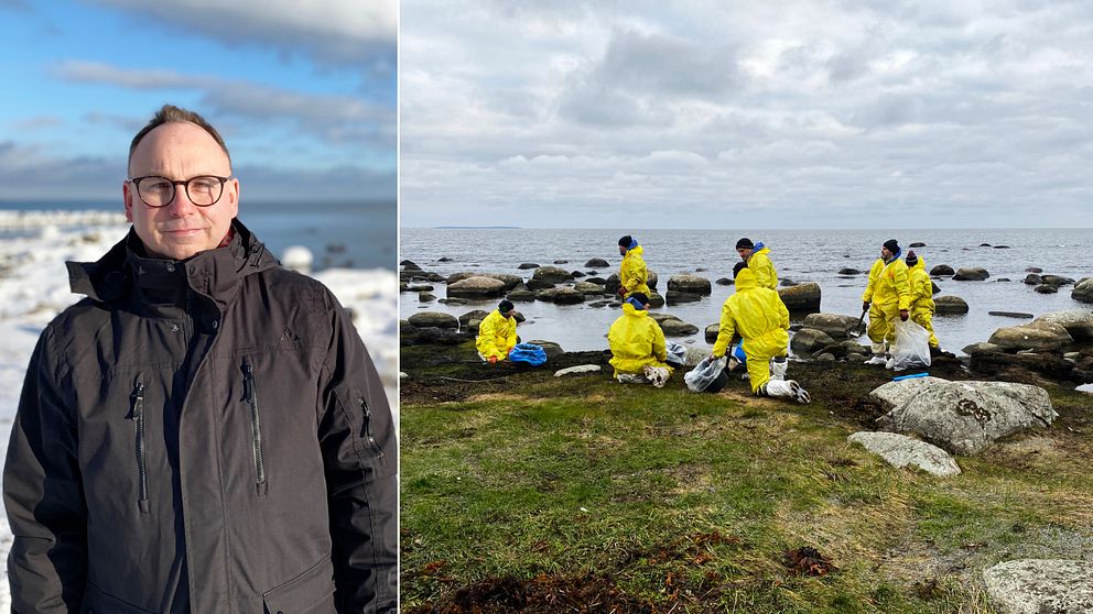Två delad bild på dels samhällsbyggnadschefen i Sölvesborg Anders Wanstadius och dels gulklädda sanerare som renar strand från olja.