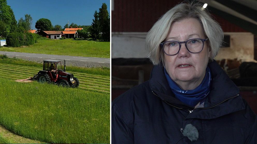 En traktor kör på ett fält. Bredvid fältet går en väg. Gräset är grönt och det är sommar eller vår. Bredvid en bild på Cecilia Bengtsson, ekonomirådgivare. Hon står i en ladugård.