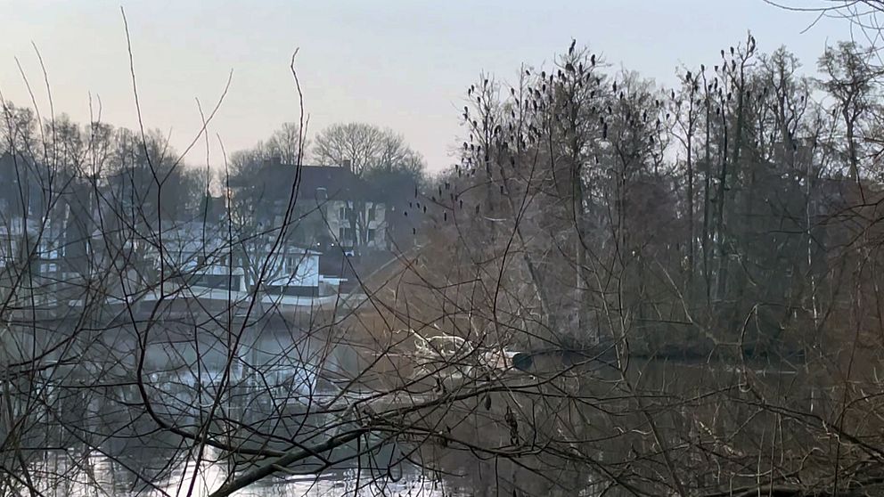 Motala | SVT Nyheter