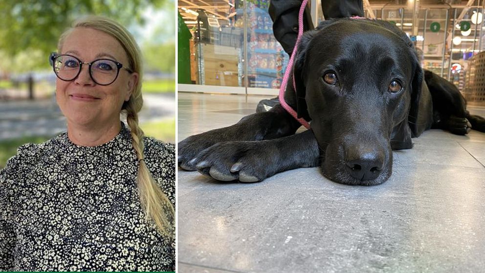 Tvåsplitbild. Ett foto på en kvinna och ett foto på en hund.