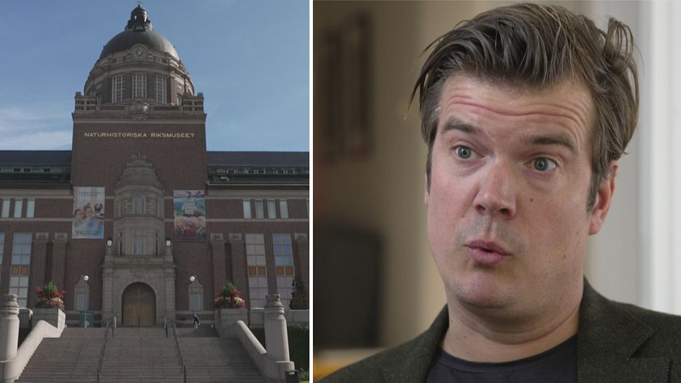 Naturhistoriska riksmuseet och Gunnar Ardelius, generalsekreterare för Sveriges Museer