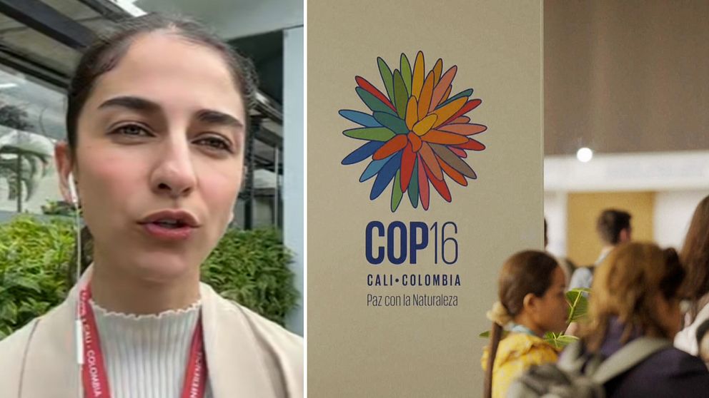 Till vänster ses en person på nära håll i en grönskande miljö, medan höger del av bilden visar en logotyp för COP 16, som hålls i Cali, Colombia, med texten ”Paz con la Naturaleza” under.