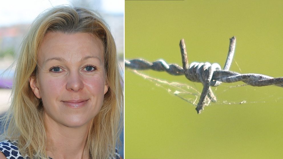Helena Elofsson är djurskyddschef på Jordbruksverket.